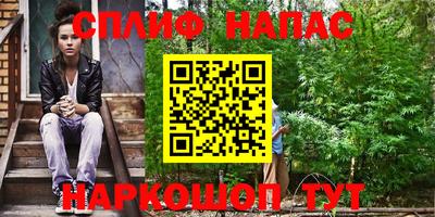 гашик Будённовск