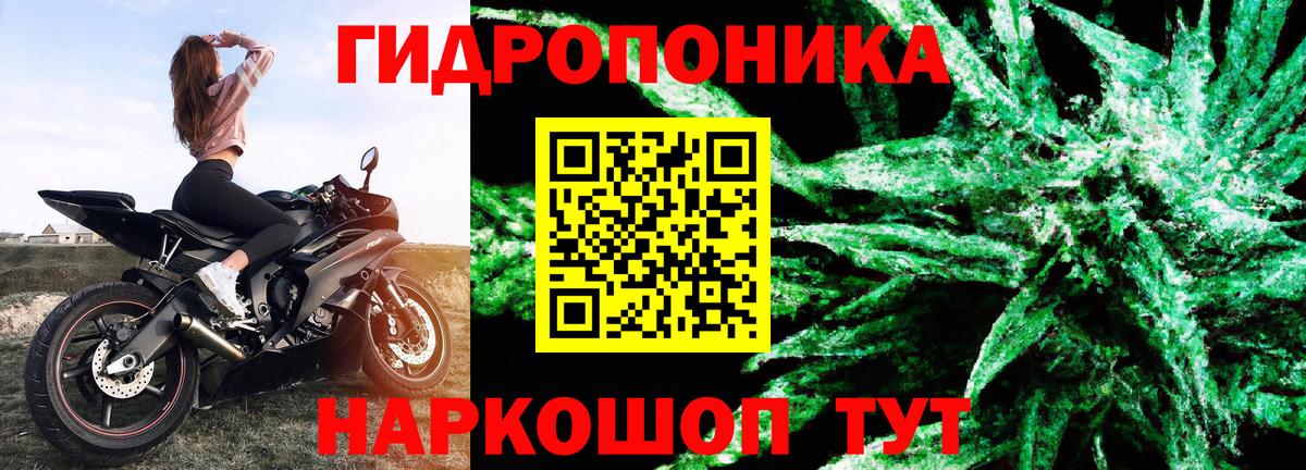 Марихуана AK-47  Конопля AK-47  Марихуана ГИДРОПОН  Вход с VPN  Северодвинск 